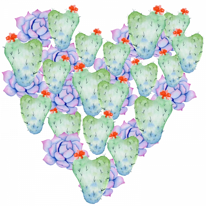 Kaktüs ve Sukulent Kalp