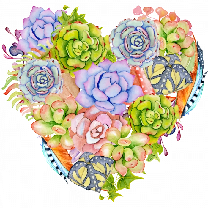 Kelebekli ve Tüylü Sukulent Kalp