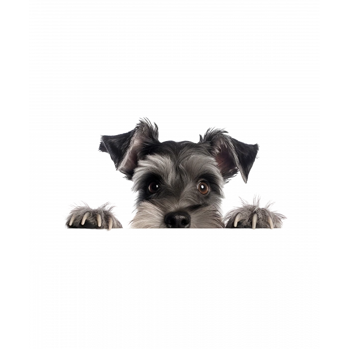 Siyah ve Bronz Köpek Duvar Stickerı