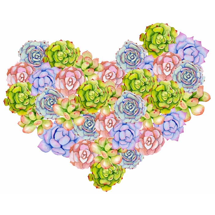 Sukulentlerden Oluşan Kalp Şekli