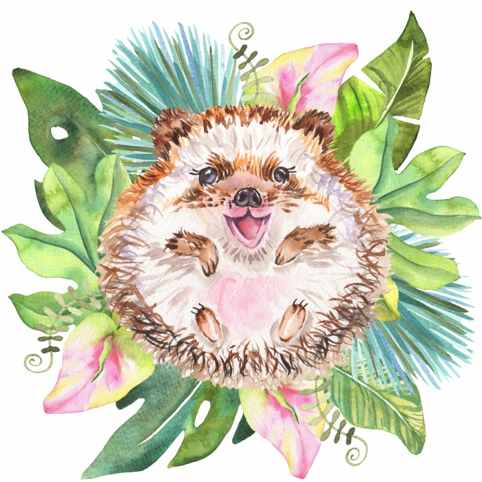 Tropikal Yapraklar Arasında Mutlu Kirpi