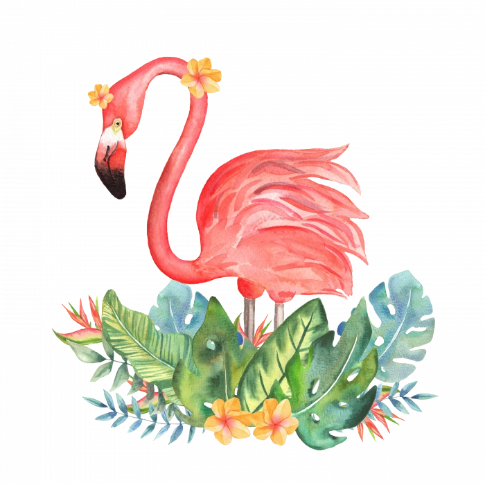 Tropikal Yapraklı Flamingo