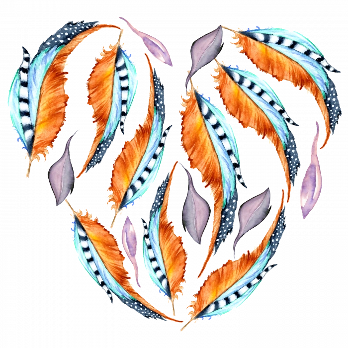 Tüylerden Oluşan Kalp Şekli