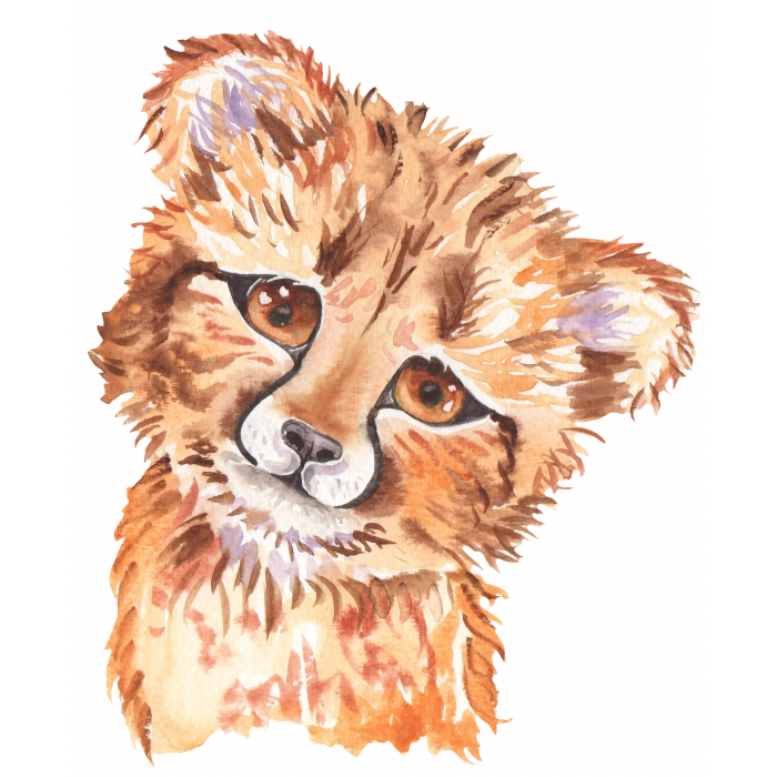 Yavru Çita Portresi (Baş Eğik)