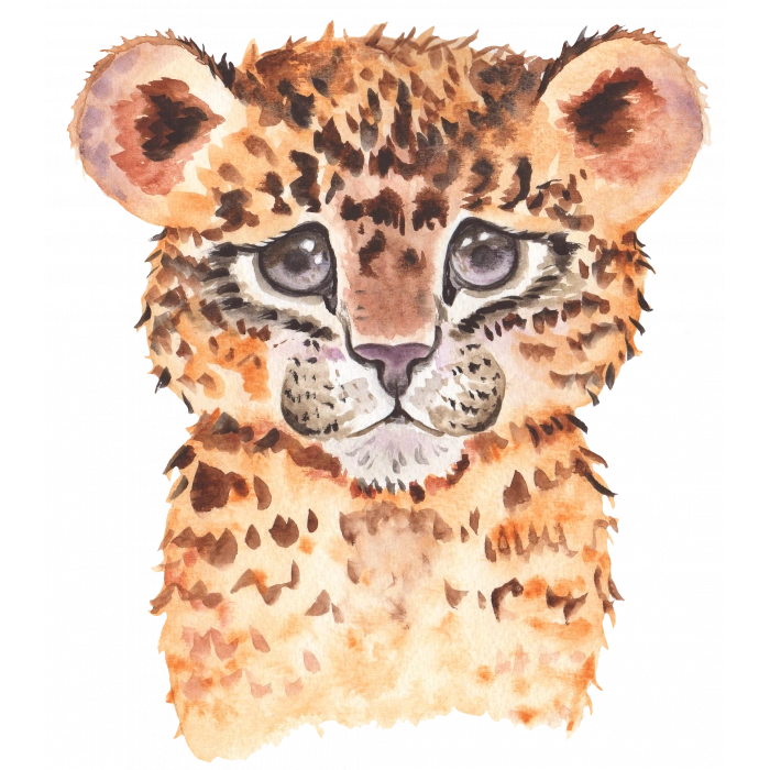 Yavru Leopar Portresi