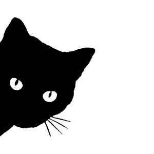 Kedi Sticker 17x17 Cm Siyah