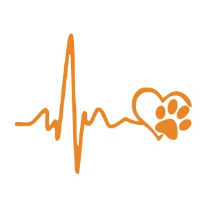 Oto Ritim Pati Sitcker 17x17 Cm Turuncu