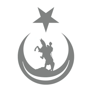 Ay Yıldız İçinde Atatürk Silüeti Sticker17x17 Cm Gri