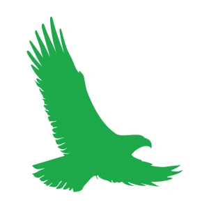 Uçan Kartal Sticker17x17 Cm Yeşil