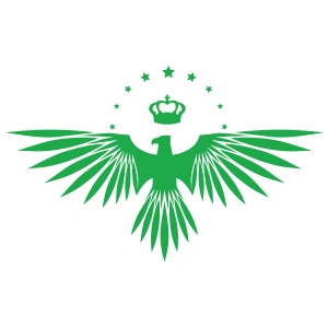 Yıldızlı Kartal  Oto Sticker17x17 Cm Yeşil