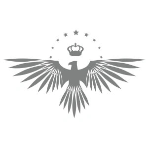 Yıldızlı Kartal  Oto Sticker17x17 Cm Gri