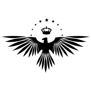 Yıldızlı Kartal Oto Sticker17x17 Cm Siyah