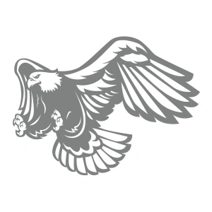 Kartal Sticker17x17 Cm Gri