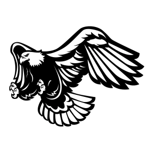 Kartal Sticker17x17 Cm Siyah