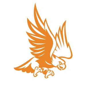 Kartal Sticker17x17 Cm Turuncu