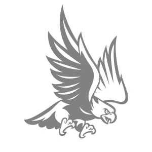 Kartal Sticker17x17 Cm Gri