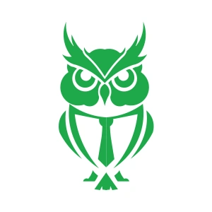 Kıravatlı Baykuş Sticker 17x17 Cm Yeşil