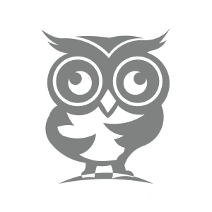 Sevimli Baykuş Sticker 17x17 Cm Gri