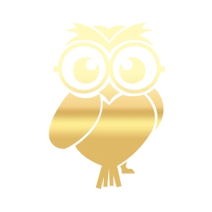 Sevimli Baykuş Sticker 17x17 Cm Gold