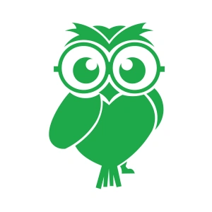 Sevimli Baykuş Sticker 17x17 Cm Yeşil