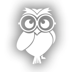 Sevimli Baykuş Sticker 17x17 Cm Beyaz