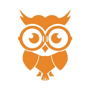 Sevimli Baykuş Sticker 17x17 Cm Turuncu