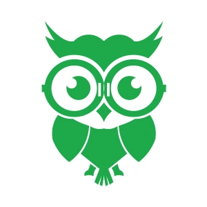 Sevimli Baykuş Sticker 17x17 Cm Yeşil