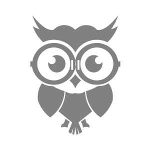 Sevimli Baykuş Sticker 17x17 Cm Gri