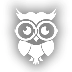 Sevimli Baykuş Sticker 17x17 Cm Beyaz