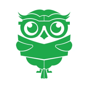 Kitap Okuyan Baykuş Sticker 17x17 Cm Yeşil