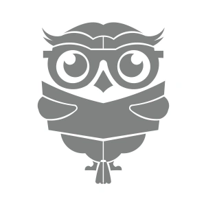 Kitap Okuyan Baykuş Sticker 17x17 Cm Gri