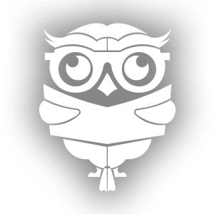 Kitap Okuyan Baykuş Sticker 17x17 Cm Beyaz