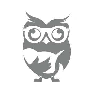 Kitap Okuyan Baykuş Sticker 17x17 Cm Gri