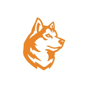 Kurt Sticker 17x17 Cm Turuncu