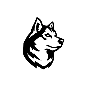 Kurt Sticker 17x17 Cm Siyah