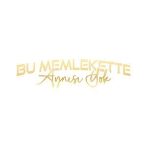 Bu Memlekette Aynısından Yok Sticker 17x17 Cm Gold