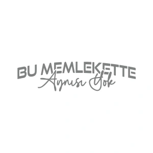 Bu Memlekette Aynısından Yok Sticker 17x17 Cm Gri