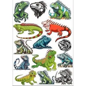 İguana Sticker Set
