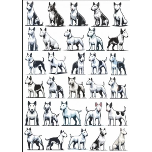 Köpek Sticker Set