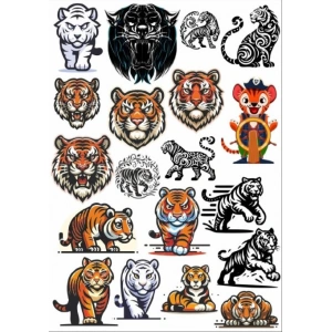 Kaplan Sticker Set 2