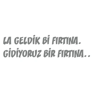 Geldik bi fırtına gidiyoruz bir fırtına sticker 17x17 Cm Gri