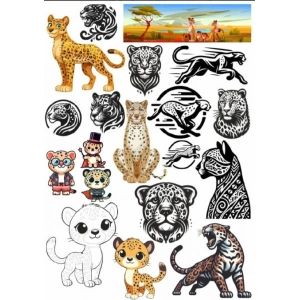 Kaplan Sticker Set 2