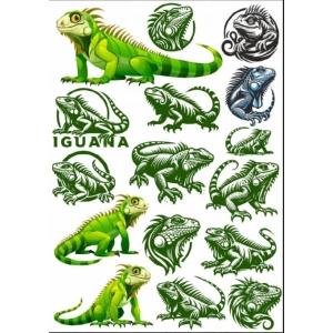 İguana Sticker Set