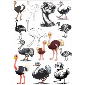 Deve Kuşu Sticker Set