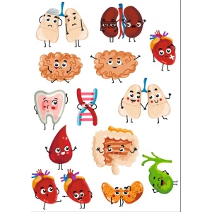 Sevimli Organlar Sticker SEt
