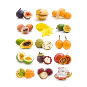 Meyveler Sticker SEt