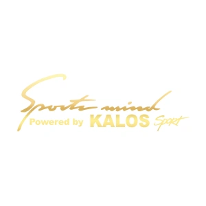 Sports Mind CHEVROLET KALOS Sports Sticker 17x17 Cm Gold
