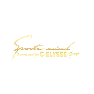 Sports Mind CITROEN C-ELYSE ESports Sticker 17x17 Cm Gold