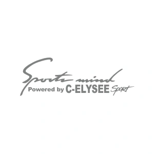 Sports Mind CITROEN C-ELYSE ESports Sticker 17x17 Cm Gri