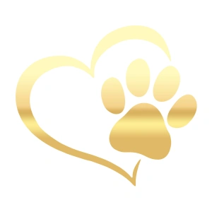 Kalpli Pati Sticker  17x17 Cm Gold